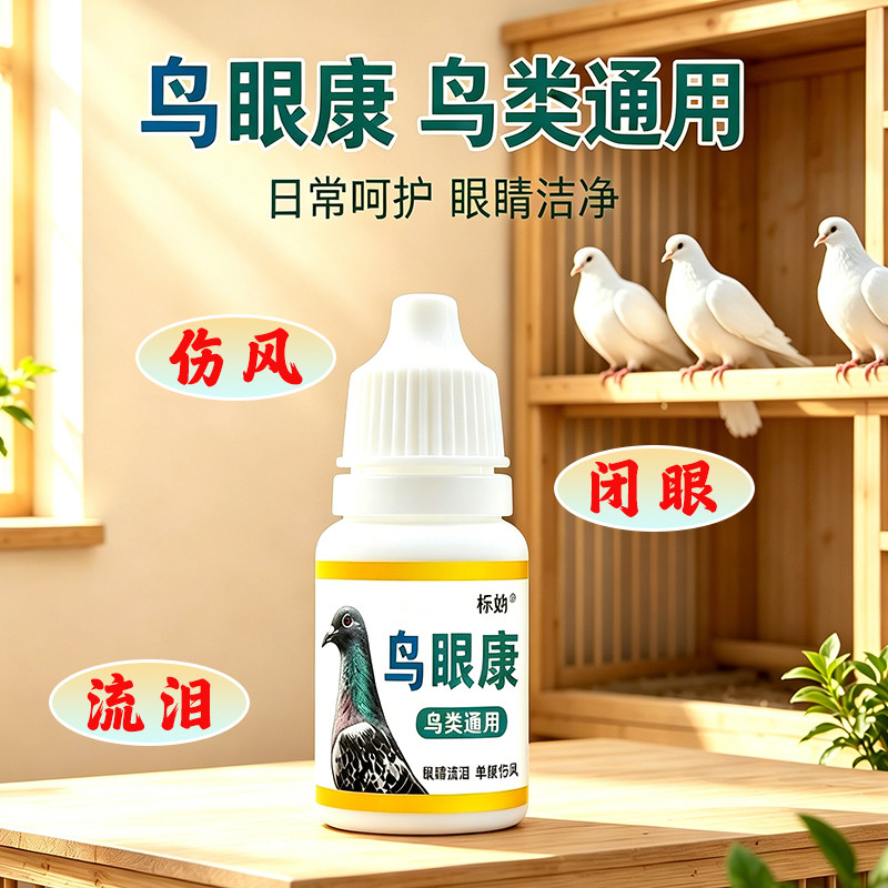 信鸽赛鸽幼鸽单眼伤风滴眼液