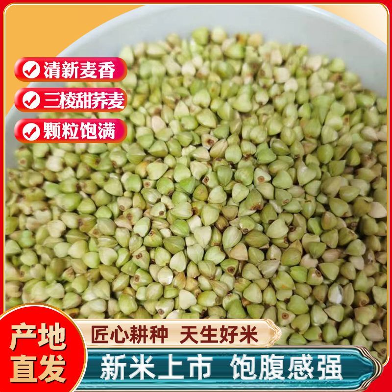 内蒙古新荞麦米五谷杂粮荞麦粥荞麦原料颗粒饱满干净无杂荞麦米
