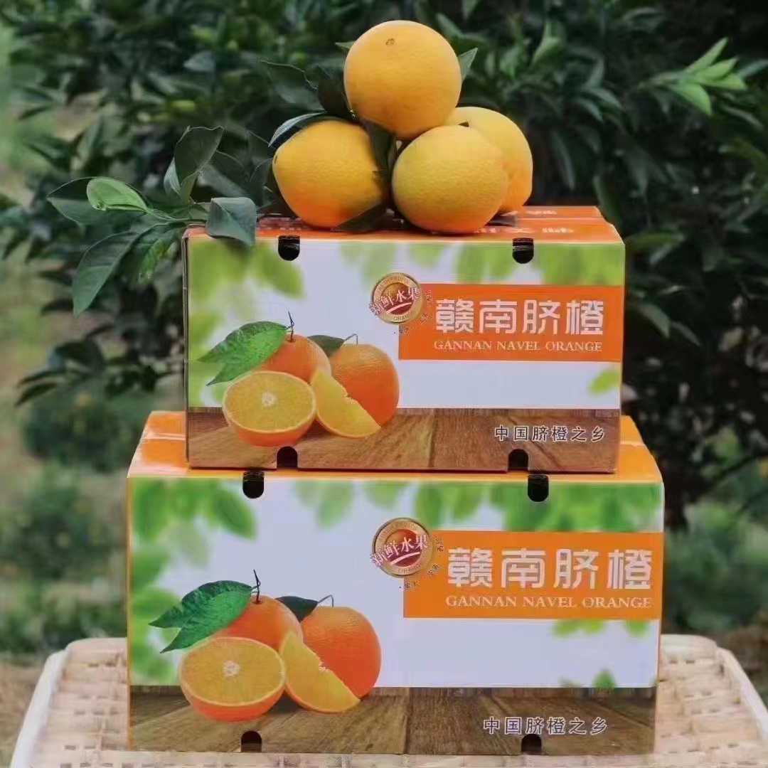 75-85规格（带箱10斤）正宗赣南脐橙产地直发当季水果安远县发货