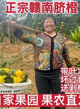 正宗赣南脐橙产地直发新鲜10斤带叶果园直供安远现摘现发整箱包邮