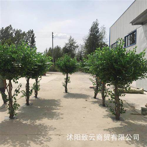 仿真青色榕树大型落地绿植人造大树许愿树假树酒店客厅装饰仿真树