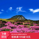 环球漫游韩国wifi租赁随身无线移动机场自取出国境外济州岛上网蛋