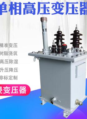 单相油浸式变压器13.8KV变220V10KV变0.23KV户外高压变压器