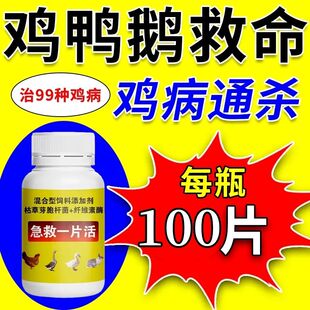 鸡鸭鹅鸽感冒拉稀药老牌子禽类急救一片活特效消炎气喘片鸡药大全