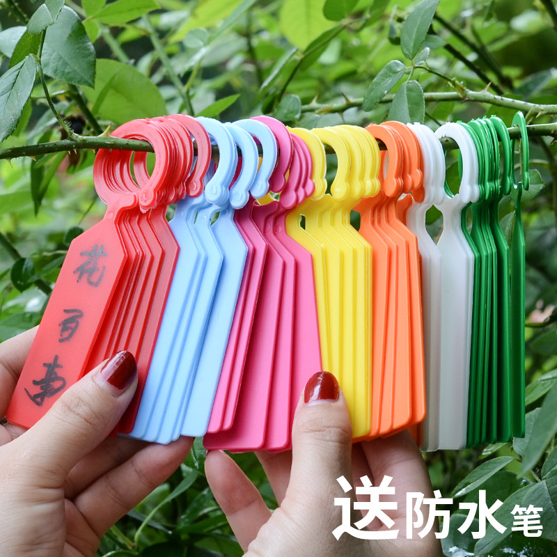 园艺标签插牌吊牌防水环扣植物挂牌标识卡塑料加厚多肉小标签工具