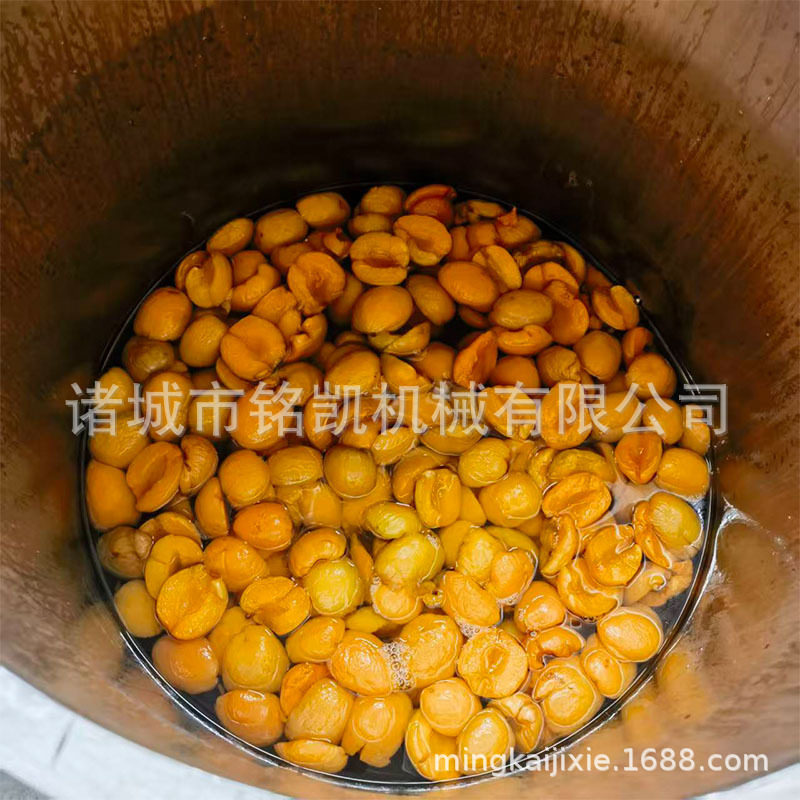 果脯真空浸糖锅全自动芒果干浸糖机器负压浸糖设备腌渍机器