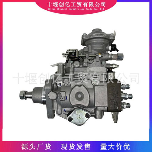 燃油喷射泵VE油泵196000-5710 119775-51920适用于丰田 3L