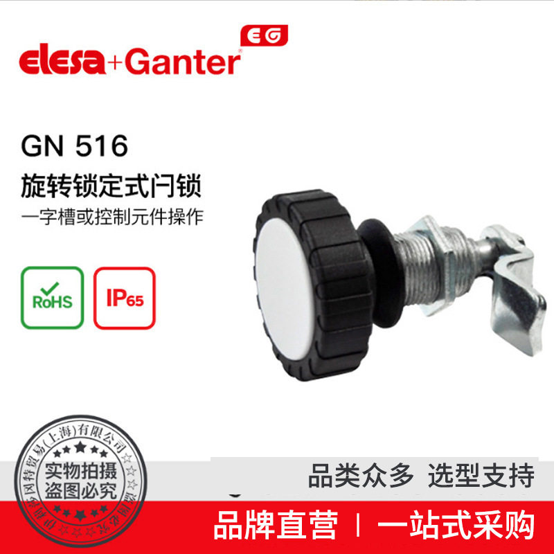 ElesaGanter伊莉莎冈特GN516旋转锁定式闩锁一字槽(2)