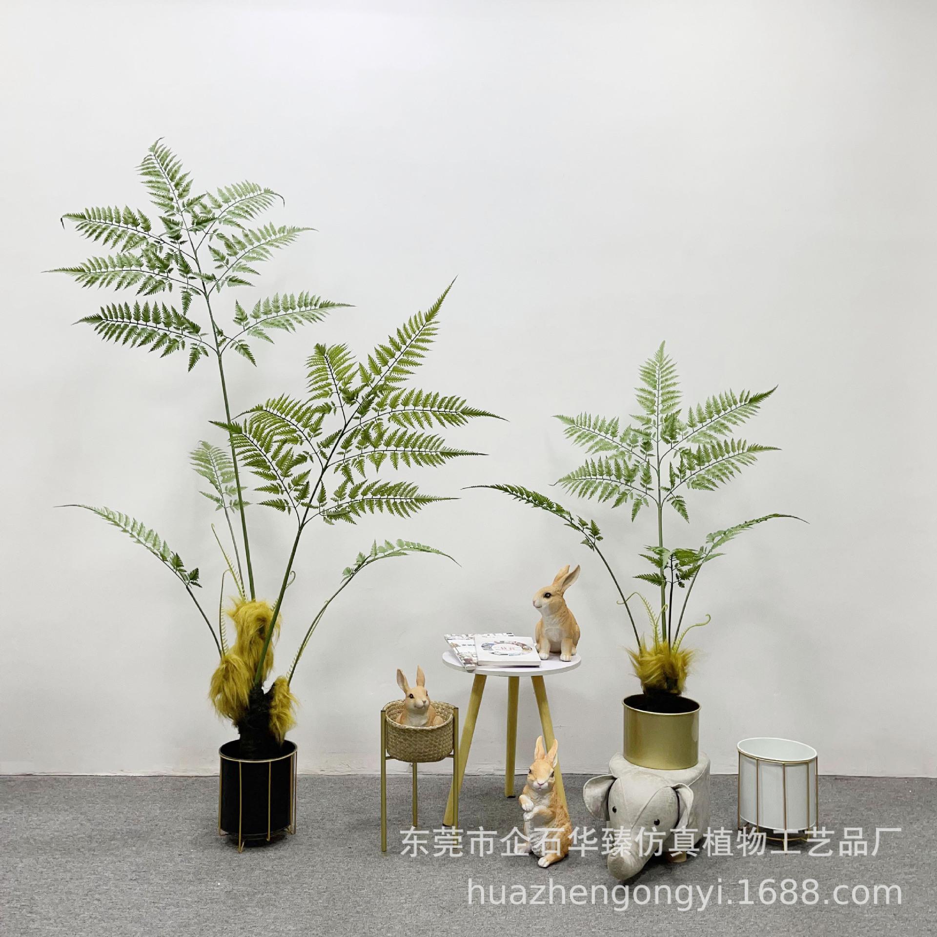 仿真猴头蕨 金丝蕨假绿植盆栽蕨类室内禅意仿真植物造景装饰摆件
