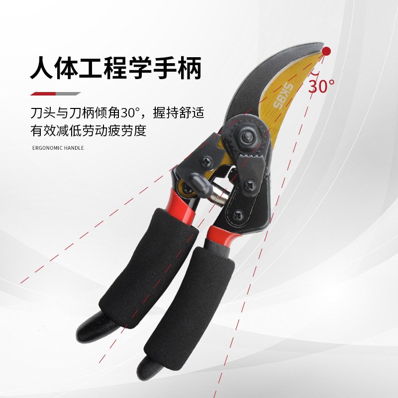 SK5钢加厚钢树枝剪园艺苗圃修枝剪粗枝果树剪 剪枝锋利树枝剪刀