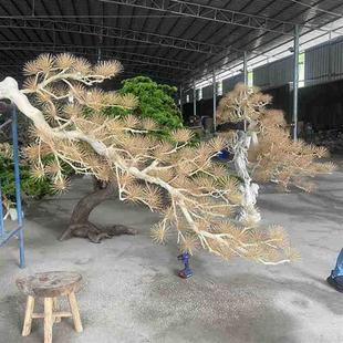饰大型枯枝造景 仿真悬挂迎客松壁挂松树罗汉松美人松家居装