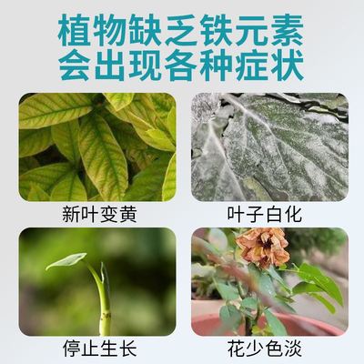 坤宁王硫酸亚铁花肥料水溶肥花卉酸性植物营养液茉莉花栀子花茶花