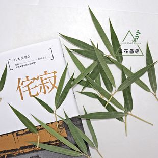 竹叶天然干花树叶植物标本书签鸡尾酒调酒饮品装 饰DIY干花材料包