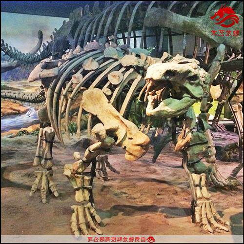 仿真甲龙骨架化石大型灭绝生物骨架模型定制动物骨骼展示模型