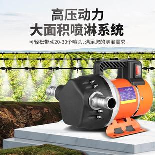 浇菜神器浇水机农用灌溉220v抽水机浇地菜园大功率增压自吸隔膜泵