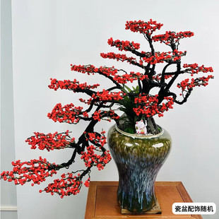 造型北美冬青盆栽办公室内绿植新年客厅植物年宵花卉 两小时达