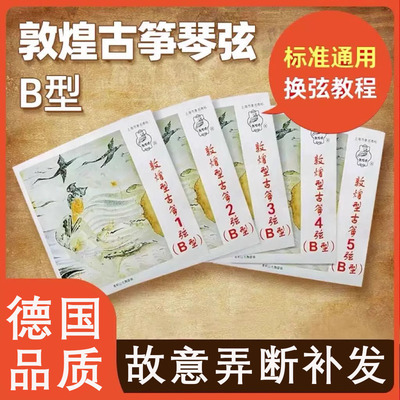 敦煌古筝琴弦B型1-21全套古筝弦