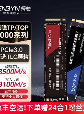 腾隐TQP3000台式机笔记本SSD固态硬盘PCIe3.0 NVMe 1T 512G 256G