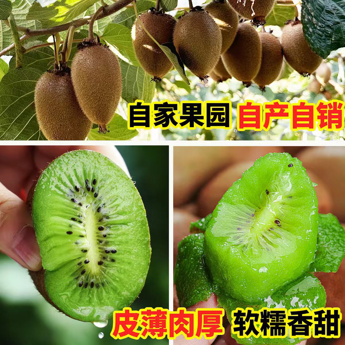  贵州修文猕猴桃新鲜现摘绿心奇异果当季孕妇水果整箱包邮