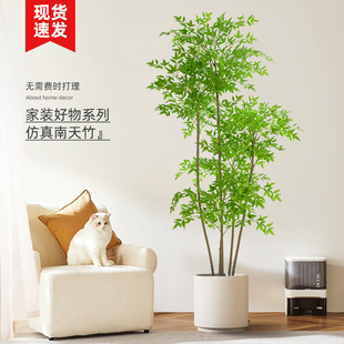 新品 饰摆件落地假植物 南天竹仿真绿植室内大型w盆栽客厅电视柜装