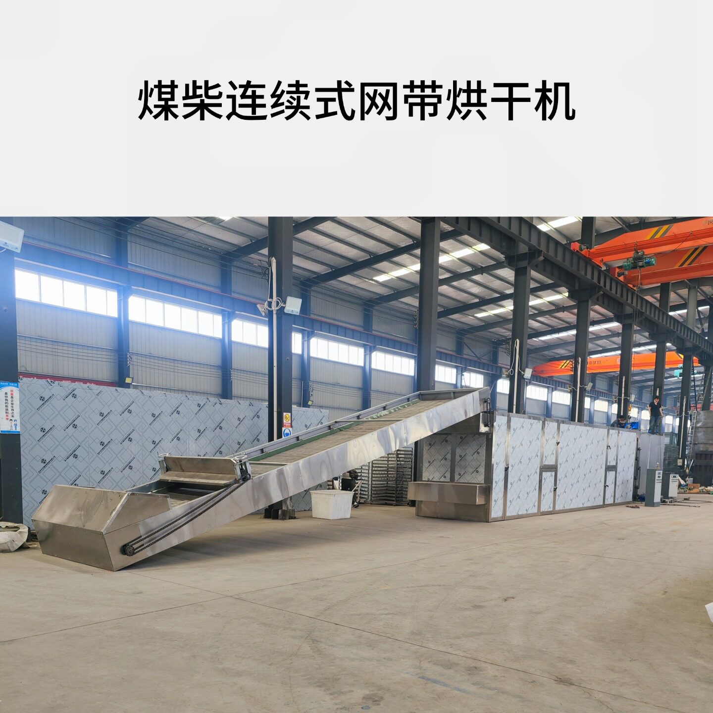 陈皮连续式煤柴颗粒网带烘干机