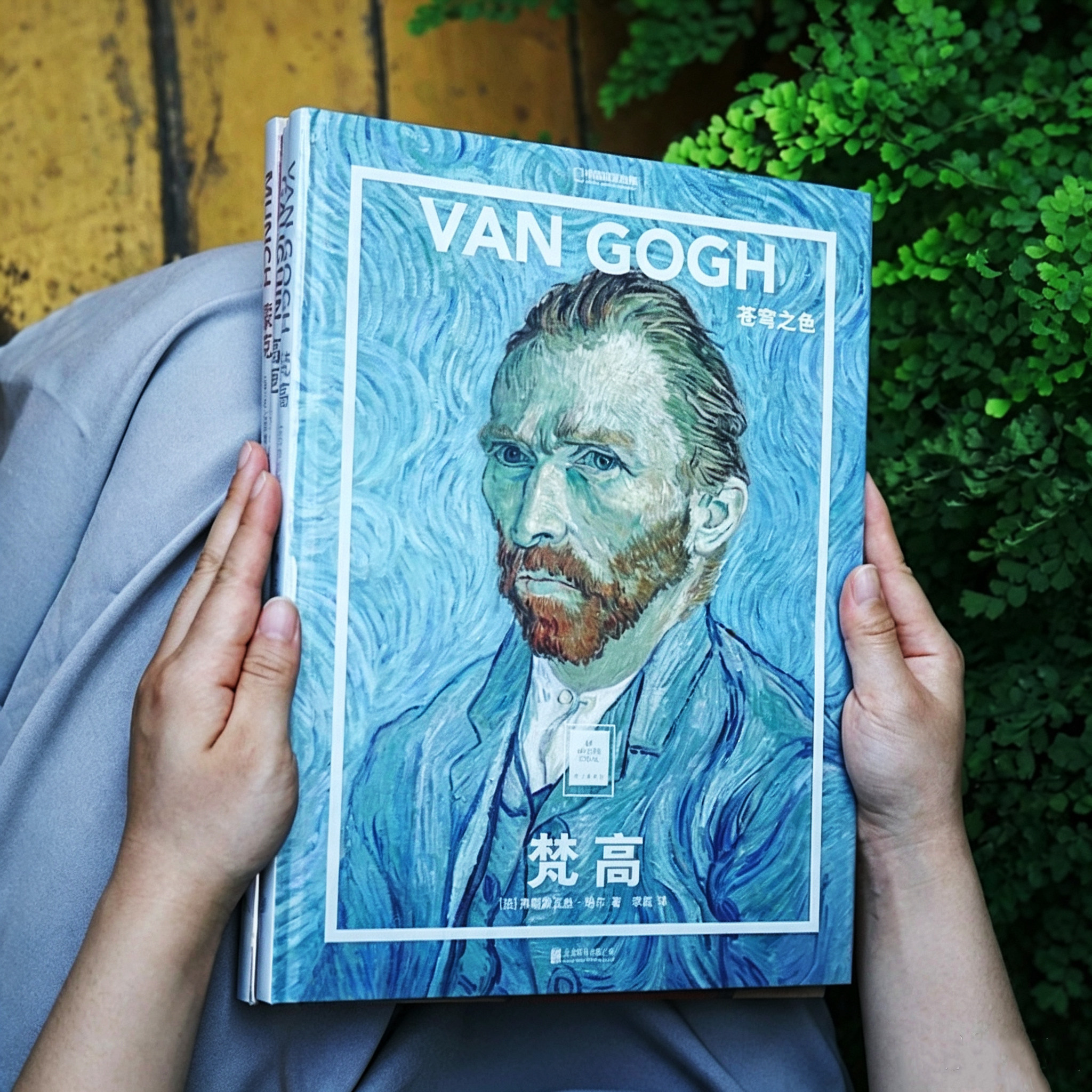 梵高画册 苍穹之色 纸上美术馆 中国国家地理正版精装8开 凡高 星空向日葵星月夜高清油画集 美术男女生礼物世界名画艺术收藏鉴赏