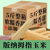 傣小糯西双版 新鲜即食非转基因低脂粗粮 纳小拇指玉米包谷棒真空装