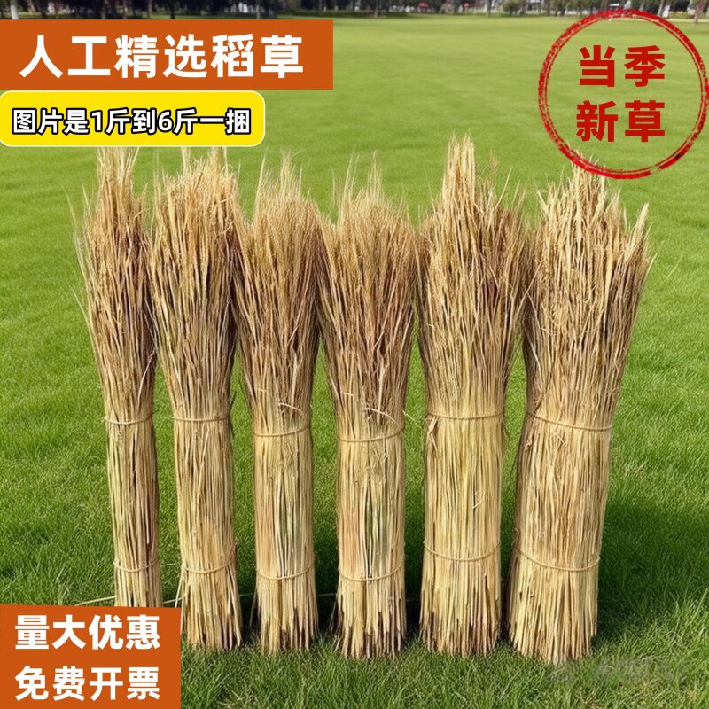 天然干稻草做霉豆腐的稻草屋顶装饰草帘遮阳稻草帘子牛羊草料稻草