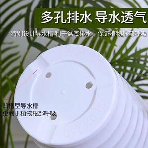 客厅发财树仿陶瓷花盆特大号高筒加厚树脂塑料果树大盆栽圆形盆景