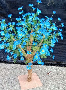 仿真蓝色小雏菊花树波斯菊室内假树蓝G色花树拍摄道具舞台表演装