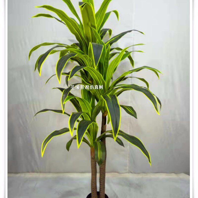 仿真巴西铁 绿h植装饰假巴西 巴西木巴西铁装饰 北欧绿植巴西铁