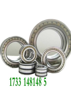 2德国进INA滚子轴承SL 192307 1923A17 RSL182205 RSL182206 A XL