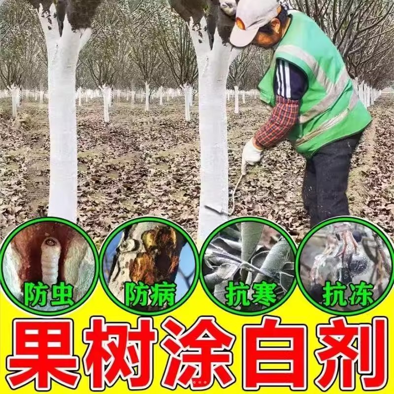 树木涂白剂防虫防冻杀菌