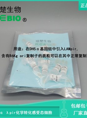 包邮 包干冰 iDH5 pir化学转化感受态细胞  R09029