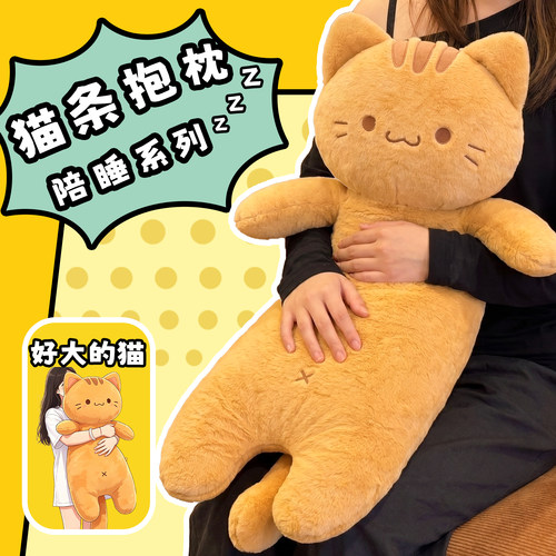 大胖橘猫送给女朋友的生日礼物～