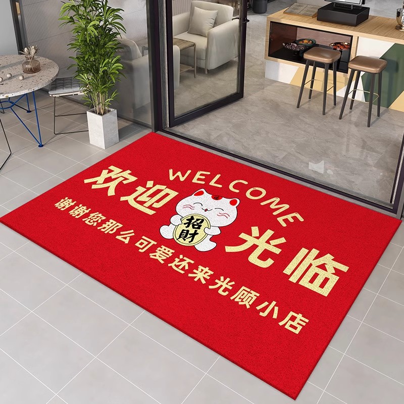 入户门地垫入户门垫进门门口丝圈脚垫门外室外蹭脚垫出入平安