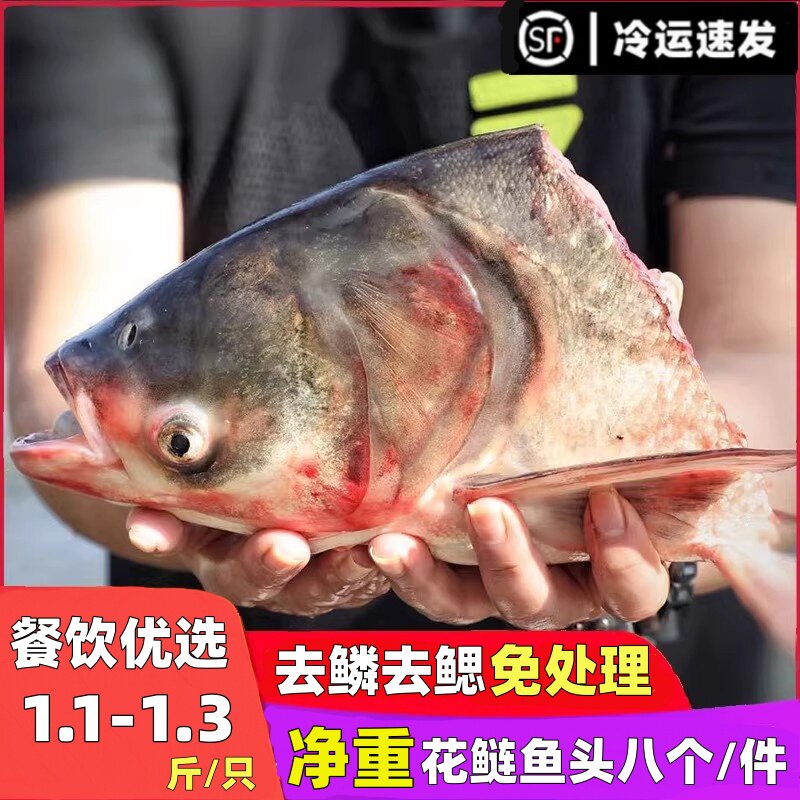 现杀花鲢鱼头鳙鱼新鲜鱼头海鲜水产鲜活速冻淡水鱼胖头鱼顺丰包邮