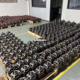 FG0 01R FG2 C125 VPC内啮合液压伺服油 替代海特克齿轮泵FG1