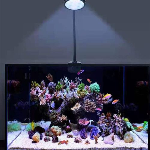 工厂新款迷你鱼缸射灯微缸珊瑚灯海水藻缸灯白光蓝Y光切换水草灯