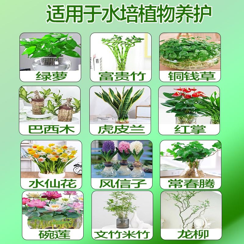 水培植物营养液通用型富贵竹绿萝铜钱草碗莲米竹龙柳水竹子巴西木