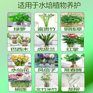 水培植物营养液通用型富贵竹绿萝铜钱草碗莲米竹龙柳水竹子巴西木