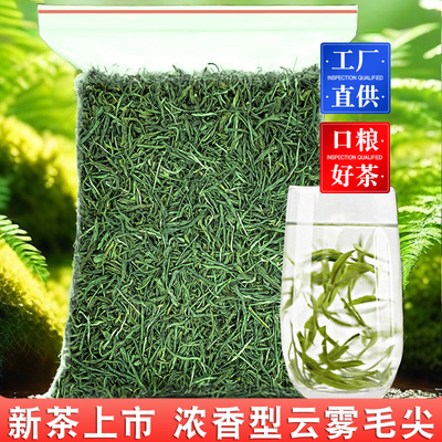 毛尖绿茶天王早春浓香型茶叶