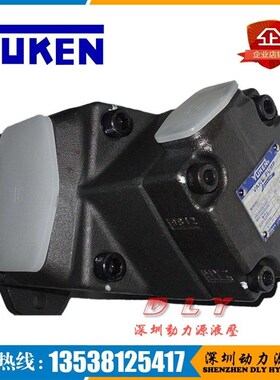 PV2R12-8/6/10/12-26/33/41w/47-F/L-REBA/REBB/REBR/REBL-31/432