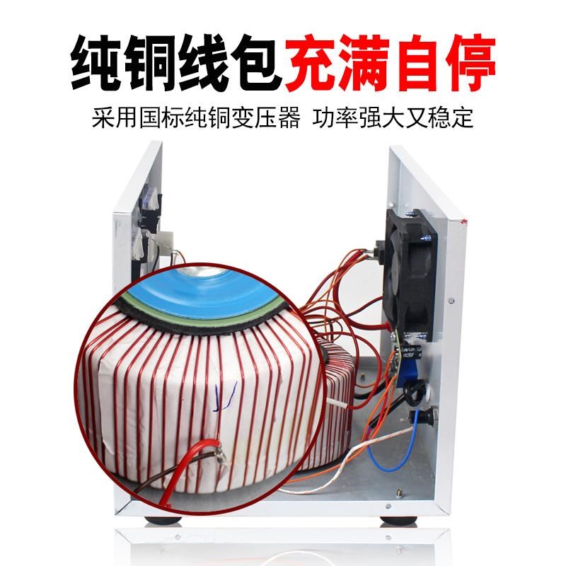 汽车电瓶充电器老式纯铜大功率x6V12V24V通用蓄电池硅整流充电机