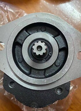 新款YHP-1小型微挖9齿液压齿轮泵F408AL9山R东挖机微挖高压泵包邮