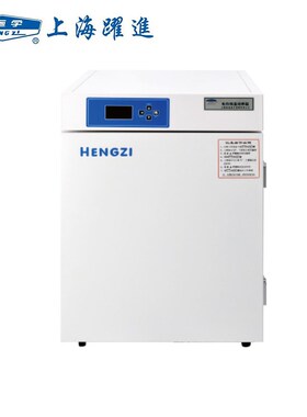 上海跃进( HENGZI)HGPN-80/270/HGIPF-163隔水式电热恒温培养箱