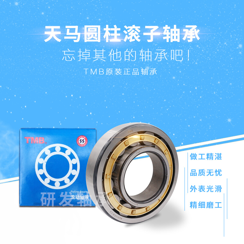 天马圆柱滚子轴承NJ/NU/N/NUP2205 2206 2207 2208 2209 2210EM