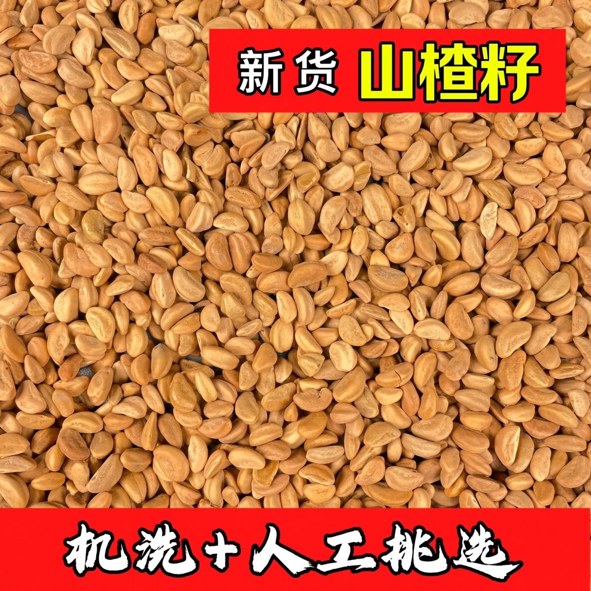山楂籽玩具沙枕头坐垫充填红果籽游乐场家用清仓散装免洗填充物