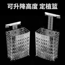鱼缸水培固定篮定植篮可升降调高度植物篮造景装饰周转箱龟缸挂篮