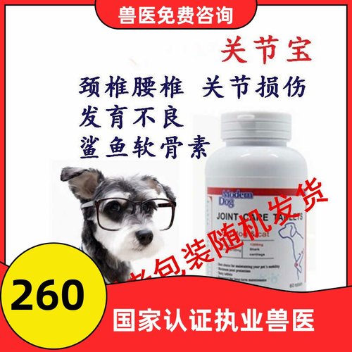 关节炎摩登宠物狗犬猫咨询关节宝